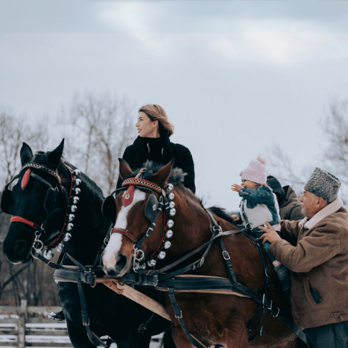 Activități de familie la Centrul de Echitație Diana – echitație și natură