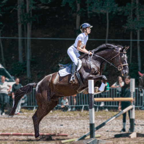 Lecții de echitație pentru începători în Râșnov, la Centrul Diana, aproape de Brașov