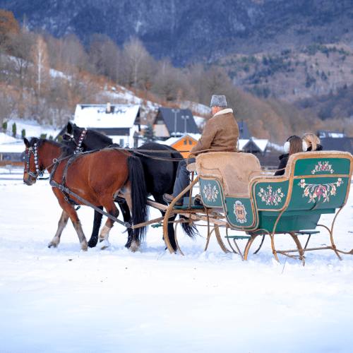 Tabără de o zi cu echitație la Râșnov – activități cu ponei și cai pentru copii