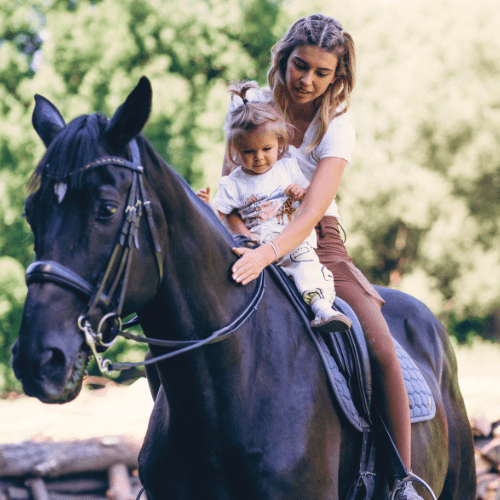 Plimbări călare prin Cheile Râșnoavei cu cai de la Centrul de Echitație Diana