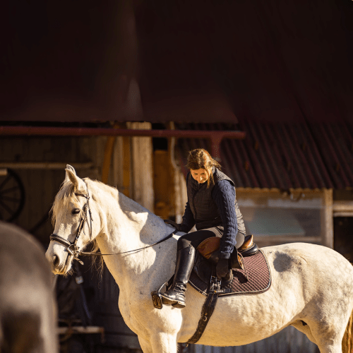 Ponei pentru copii la Centrul de Echitație Diana din Râșnov, experiențe unice în Brașov