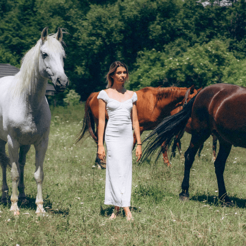 Călărie în natură la Centrul de Echitație Diana din Cheile Râșnoavei, experiență pentru familie