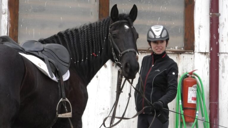 Cei mai frumoși cai vedetă, în grija unei familii pasionată de creșterea cabalinelor – articol info1tv.ro