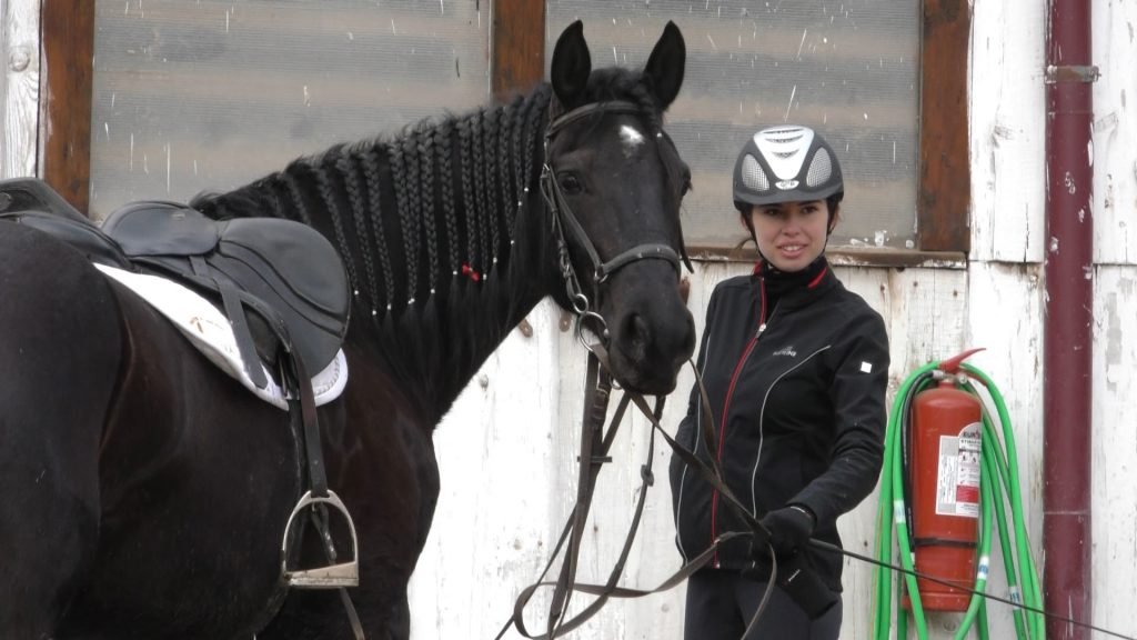 Read more about the article Cei mai frumoși cai vedetă, în grija unei familii pasionată de creșterea cabalinelor – articol info1tv.ro